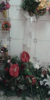 Koszter József emlékére